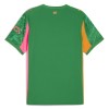 Officiële Voetbalshirt Doelman Manchester City 2025-26 Groene - Heren